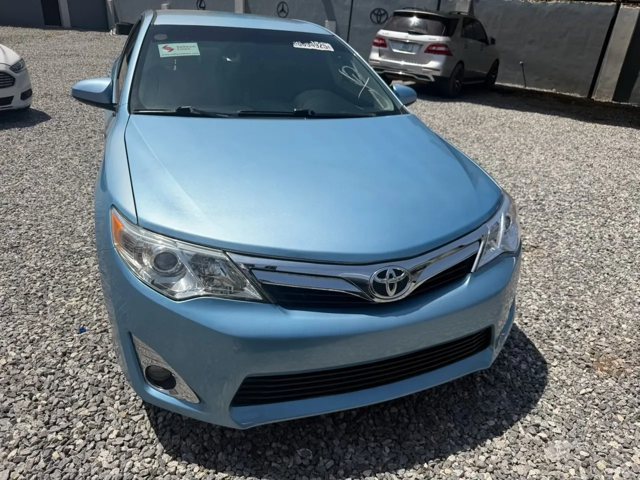 Muscle Sky Blue
